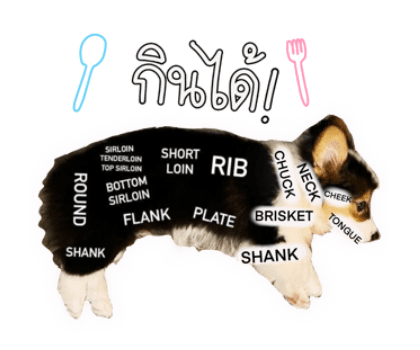 ลายที่ 18