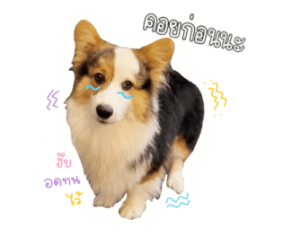 นปโปะหม่ำๆ รูปที่ 19