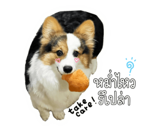 นปโปะหม่ำๆ รูปที่ 20