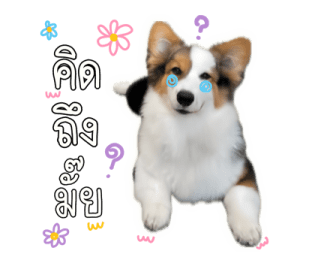 นปโปะหม่ำๆ รูปที่ 22