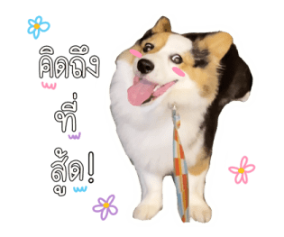นปโปะหม่ำๆ รูปที่ 23