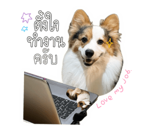 นปโปะหม่ำๆ รูปที่ 25