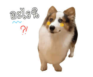 นปโปะหม่ำๆ รูปที่ 26