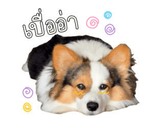 นปโปะหม่ำๆ รูปที่ 30