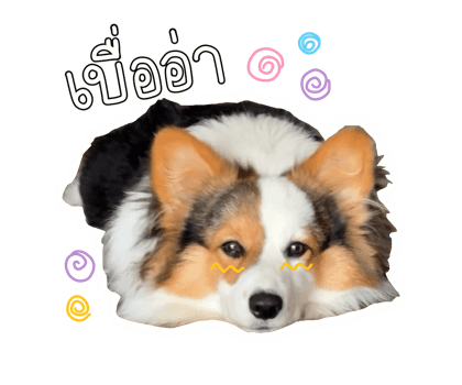 ลายที่ 30