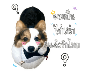 นปโปะหม่ำๆ รูปที่ 33