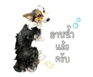 นปโปะหม่ำๆ รูปที่ 34