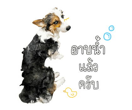 ลายที่ 34