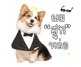 นปโปะหม่ำๆ รูปที่ 35
