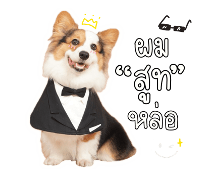 ลายที่ 35