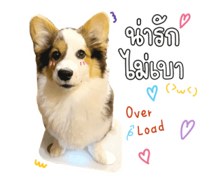 นปโปะหม่ำๆ รูปที่ 36