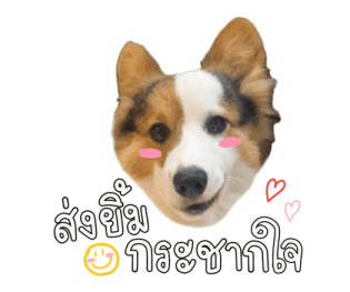 นปโปะหม่ำๆ รูปที่ 37