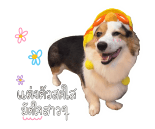 นปโปะหม่ำๆ รูปที่ 38