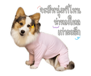 นปโปะหม่ำๆ รูปที่ 39