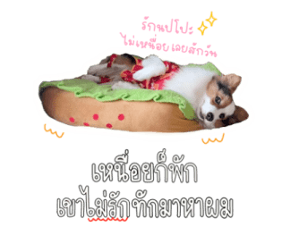 นปโปะหม่ำๆ รูปที่ 40