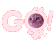 712663509