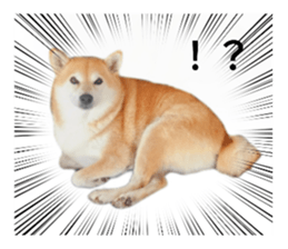 712674081