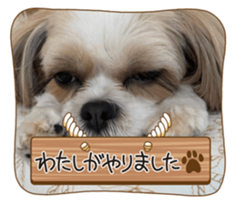 712683474