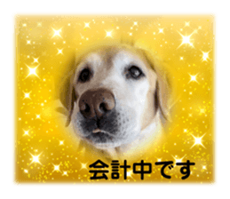 712683580