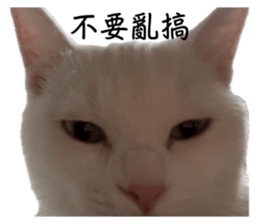 712707835