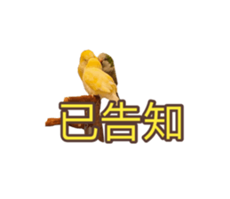 712726307