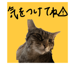 712735180