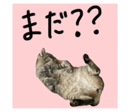 712735182