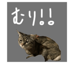 712735183