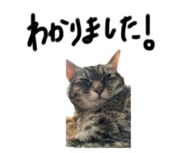712735184