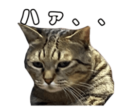 712744836