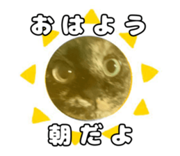 712744837
