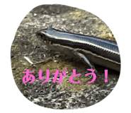 712745407