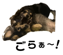 712747066