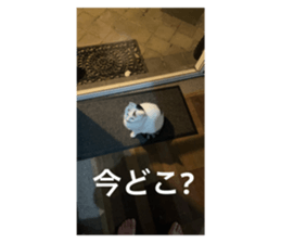 712752504