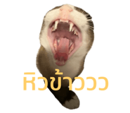 712820019