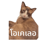 712820021