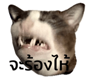 712820023