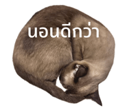 712820024