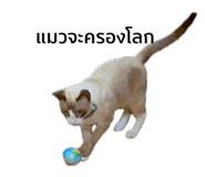 712820040