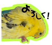 712828632