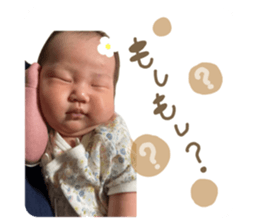 712860006