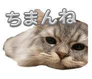 712909415