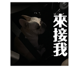 712932980