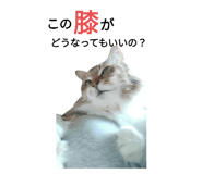 712936341