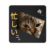 712936343