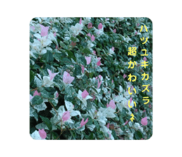 712954248