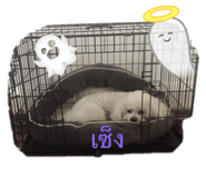 712959783