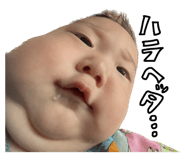 713064525