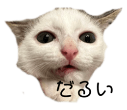 713078282