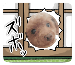 713134705